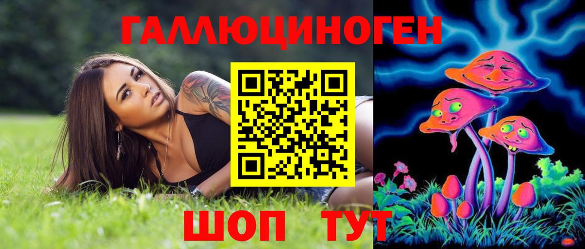 Псилоцибиновые грибы прущие грибы Шарыпово